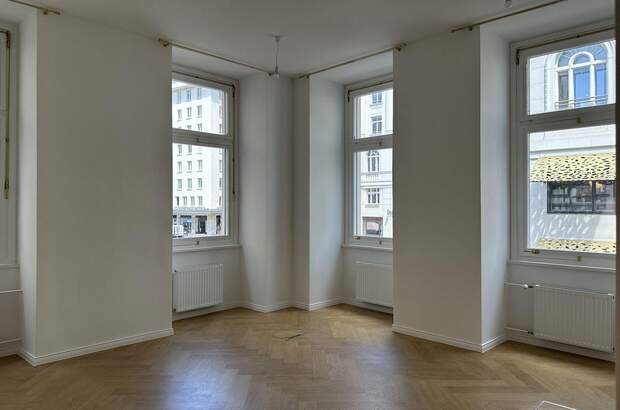 Gewerbeobjekt mieten in 1010 Wien (Bild 1)
