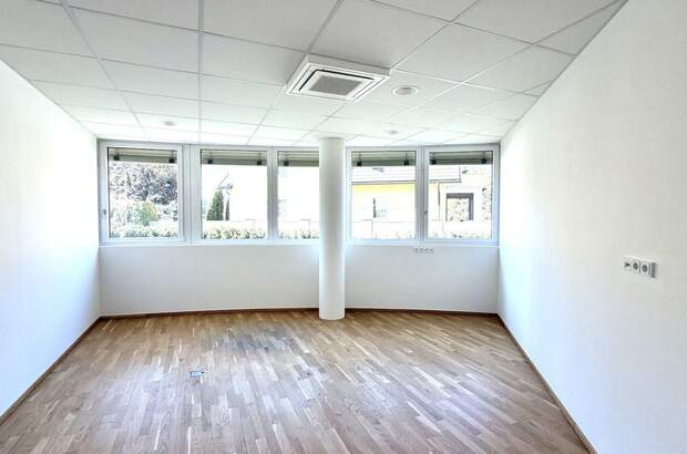 Gewerbeobjekt mieten in 8430 Leibnitz (Bild 5)