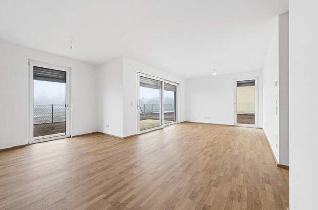 Terrassenwohnung kaufen in 2700 Wr. Neustadt (Bild 3)