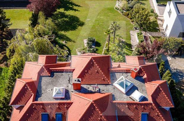 Haus mit Garten kaufen in 1230 Wien (Bild 4)