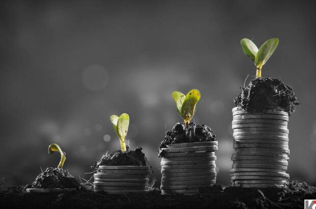 Immobilie kaufen in 9020 Klagenfurt (Bild 1)