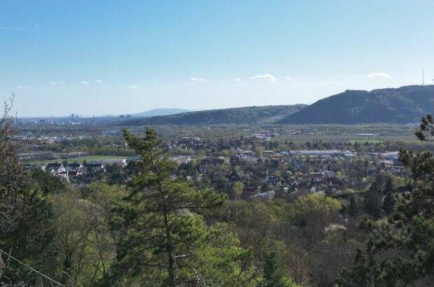 Grundstück kaufen in 2103 Langenzersdorf (Bild 1)