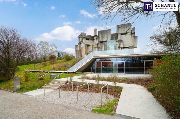 Terrassenwohnung kaufen in 1230 Wien (Bild 5)