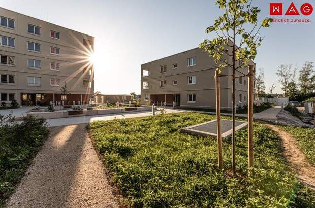 Terrassenwohnung mieten in 4623 Gunskirchen (Bild 2)