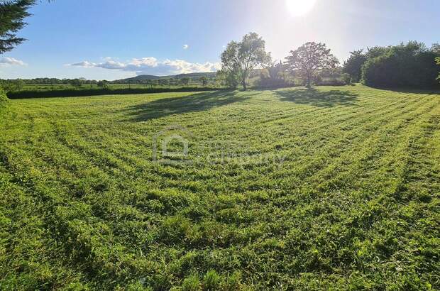 Grundstück kaufen in 7091 Breitenbrunn (Bild 2)
