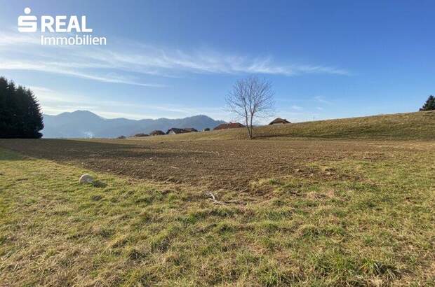 Grundstück kaufen in 8670 Krieglach (Bild 2)