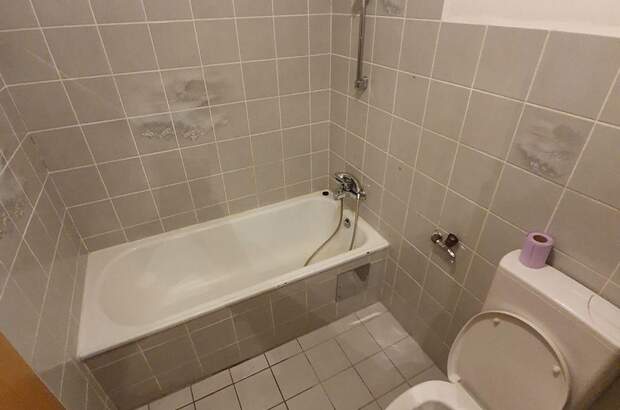 Wohnung kaufen in 1100 Wien (Bild 4)