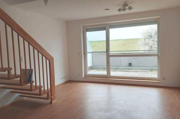 Terrassenwohnung mieten in 3382 Loosdorf (Bild 1)