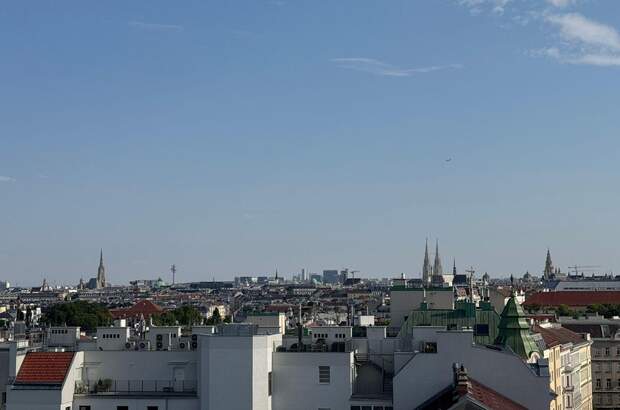 Altbauwohnung mieten in 1090 Wien (Bild 5)