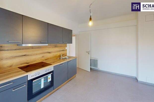 Terrassenwohnung mieten in 8010 Graz (Bild 1)