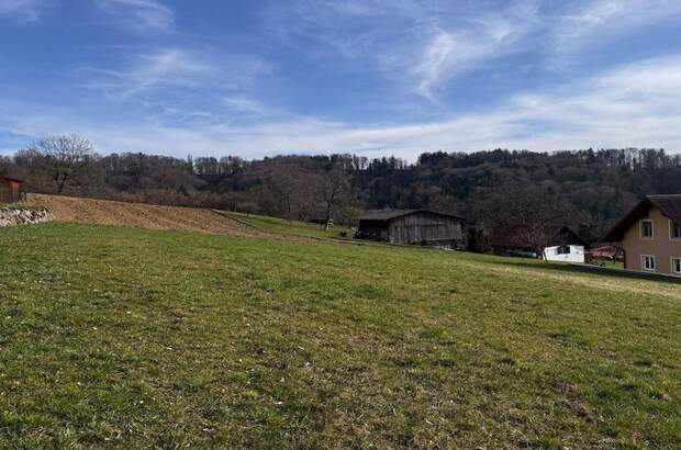 Grundstück kaufen in 8421 Schwarzau (Bild 2)