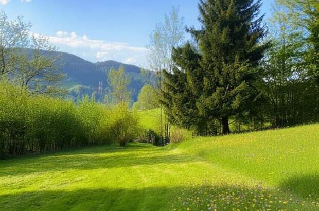 Grundstück kaufen in 8650 Kindberg (Bild 1)