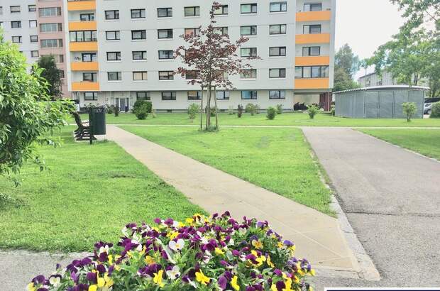 Mietwohnung in 4600 Wels (Bild 3)