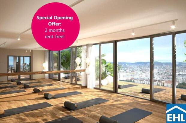 Terrassenwohnung mieten in 1200 Wien (Bild 1)