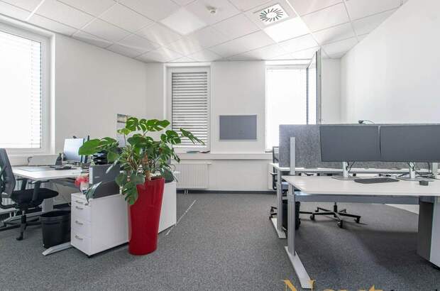 Gewerbeobjekt mieten in 4050 Traun (Bild 5)