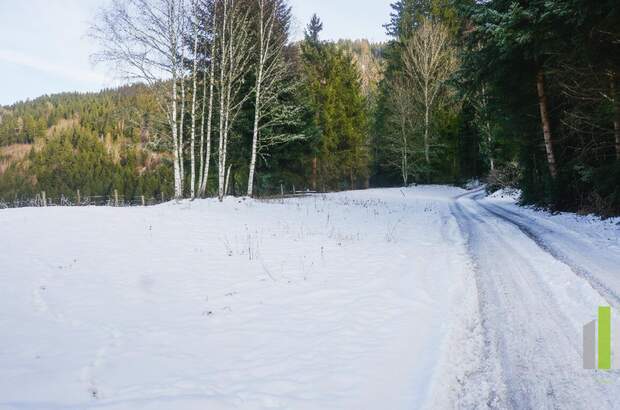 Grundstück kaufen in 8862 Stadl (Bild 4)