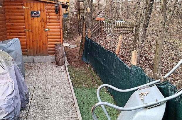 Haus mit Garten kaufen in 3061 Schönfeld (Bild 5)