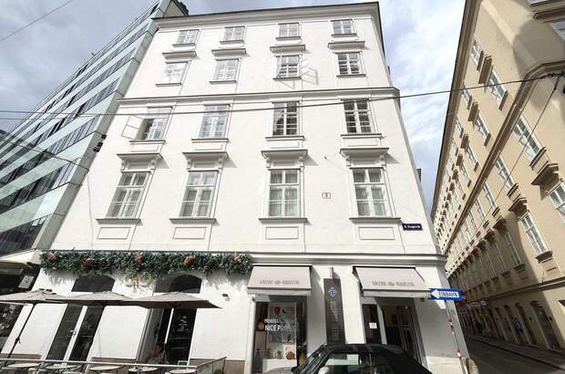 Altbauwohnung kaufen in 1010 Wien (Bild 2)