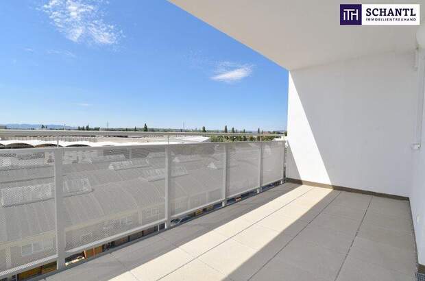 Terrassenwohnung mieten in 2320 Schwechat (Bild 1)