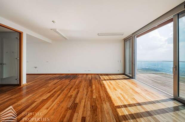 Mietwohnung in 1190 Wien (Bild 1)