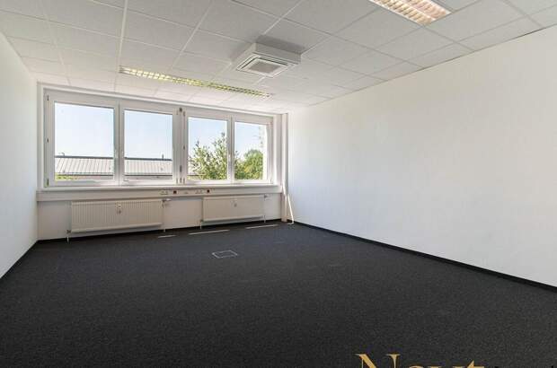 Gewerbeobjekt mieten in 4600 Wels (Bild 5)