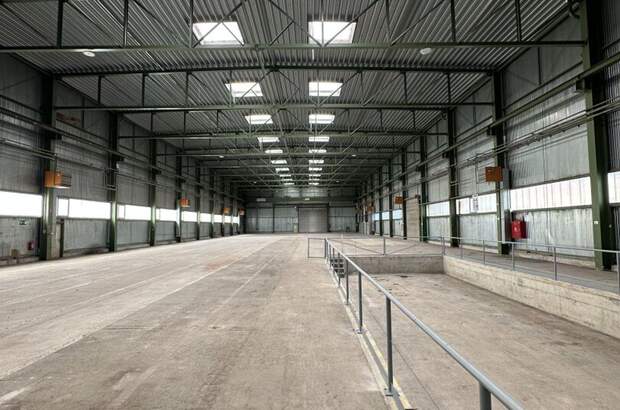 Gewerbeobjekt kaufen in 2700 Wiener Neustadt (Bild 2)