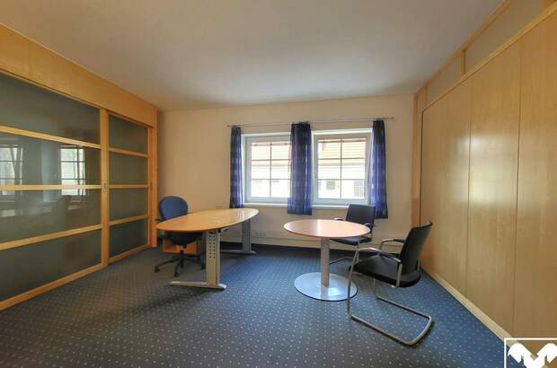 Gewerbeobjekt mieten in 4470 Enns (Bild 2)