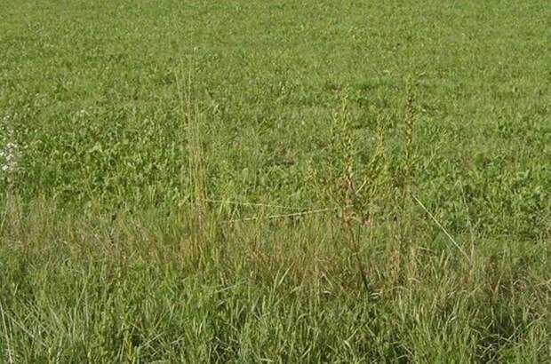 Gewerbeobjekt kaufen in 8054 Pirka