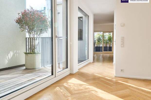 Terrassenwohnung kaufen in 1080 Wien (Bild 5)