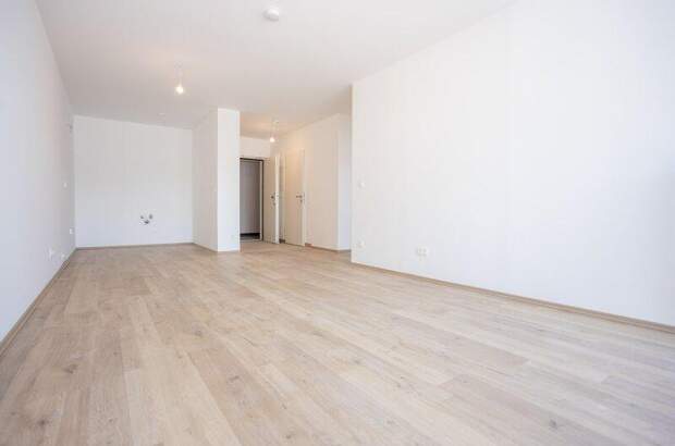 Terrassenwohnung kaufen in 2700 Wr. Neustadt (Bild 4)