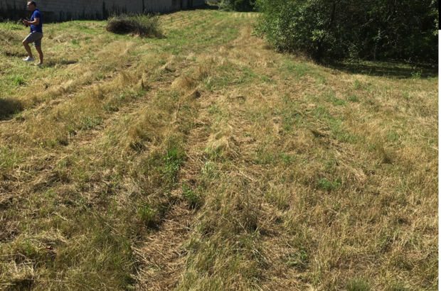 Grundstück kaufen in 2474 Gattendorf