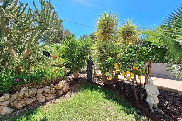 Haus kaufen in 7180 El Toro (Bild 3)