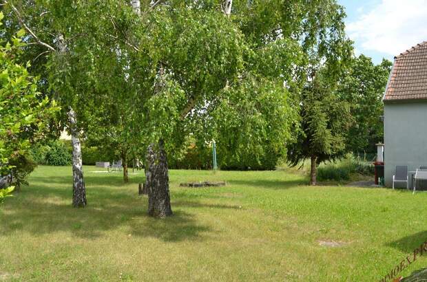 Haus mit Garten kaufen in 2402 Haslau (Bild 3)