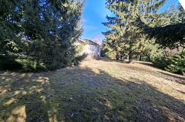 Gewerbeobjekt kaufen in 4060 Leonding (Bild 4)