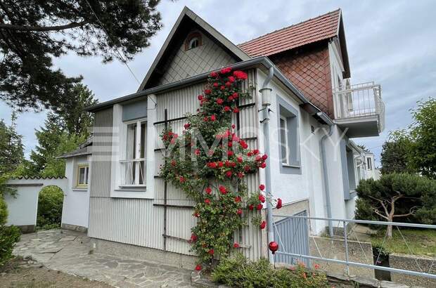 Einfamilienhaus mieten in 1130 Wien (Bild 1)