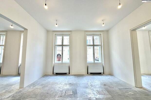 Gewerbeobjekt mieten in 1010 Wien (Bild 1)