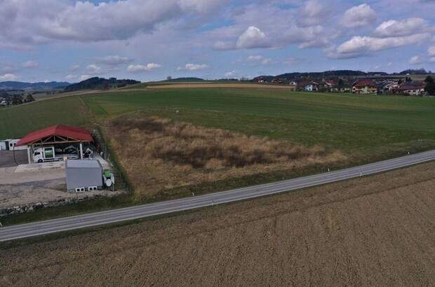 Gewerbeobjekt kaufen in 4692 Oberau (Bild 3)
