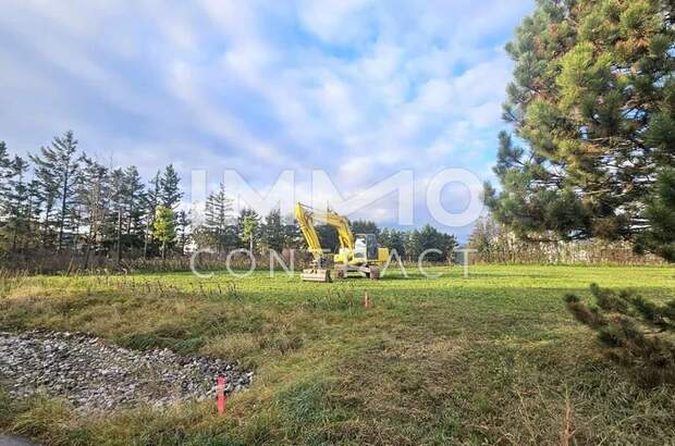 Grundstück kaufen in 2751 Matzendorf