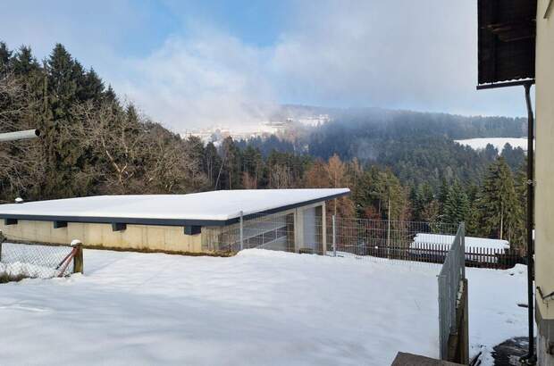 Haus kaufen in 8510 Stainz (Bild 4)