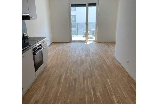 Terrassenwohnung mieten in 1220 Wien (Bild 4)