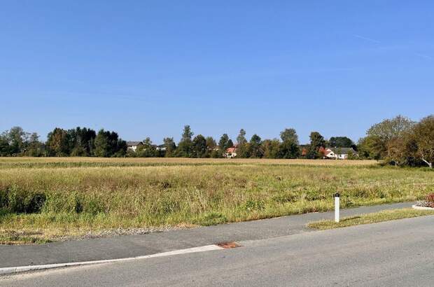 Grundstück kaufen in 7411 Markt Allhau (Bild 4)