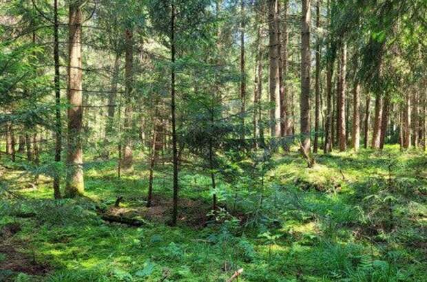 Immobilie kaufen in 83317 Teisendorf (Bild 2)