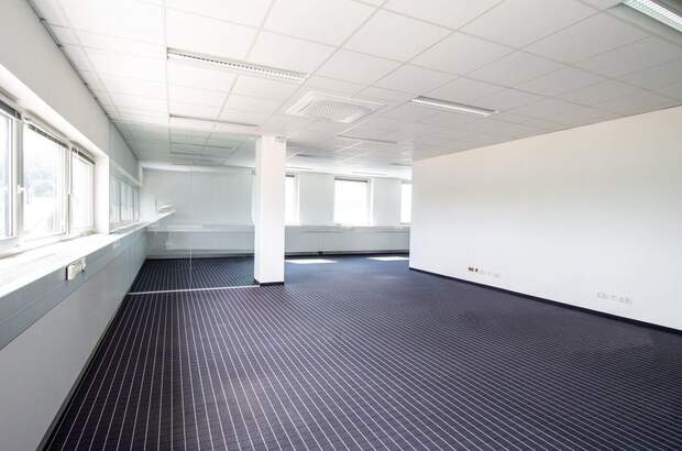 Gewerbeobjekt mieten in 4600 Thalheim (Bild 3)