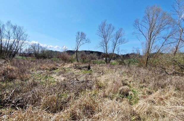 Grundstück kaufen in 4850 Timelkam (Bild 3)