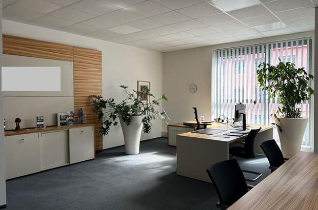 Gewerbeobjekt mieten in 8020 Graz (Bild 2)