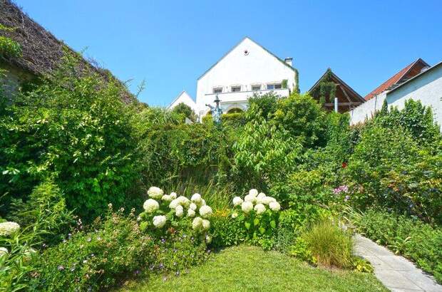 Haus kaufen in 7072 Mörbisch (Bild 2)