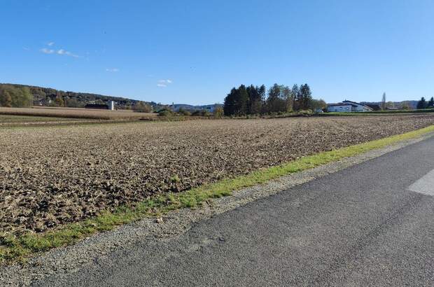 Grundstück kaufen in 8261 Sinabelkirchen (Bild 4)