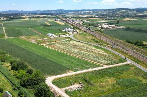 Grundstück kaufen in 3451 Michelhausen (Bild 1)