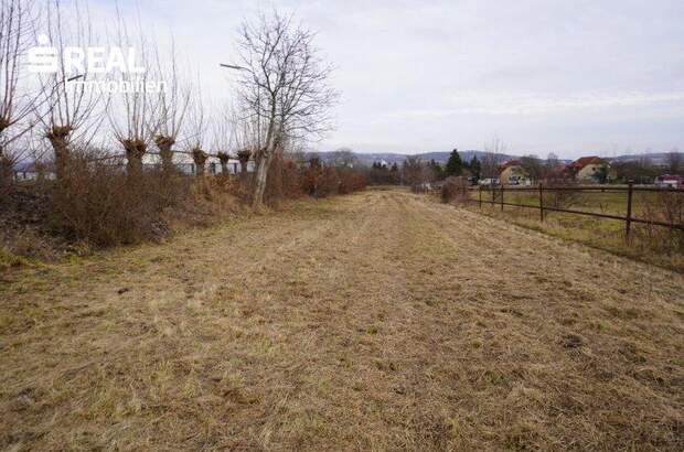 Grundstück kaufen in 2100 Stetten (Bild 5)