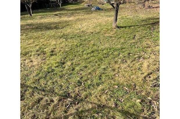 Grundstück kaufen in 2231 Strasshof (Bild 4)